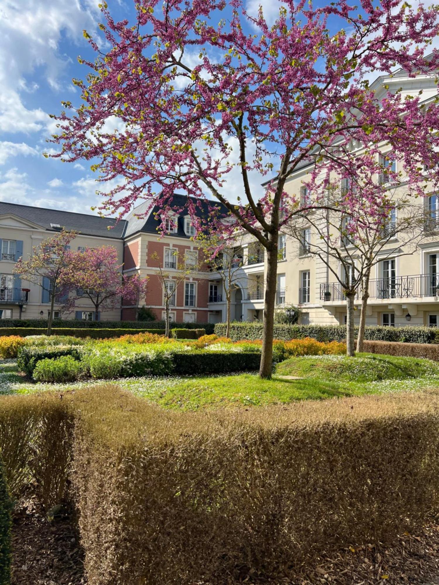 Appartement Disneyland Idealement Situe Σερί Εξωτερικό φωτογραφία